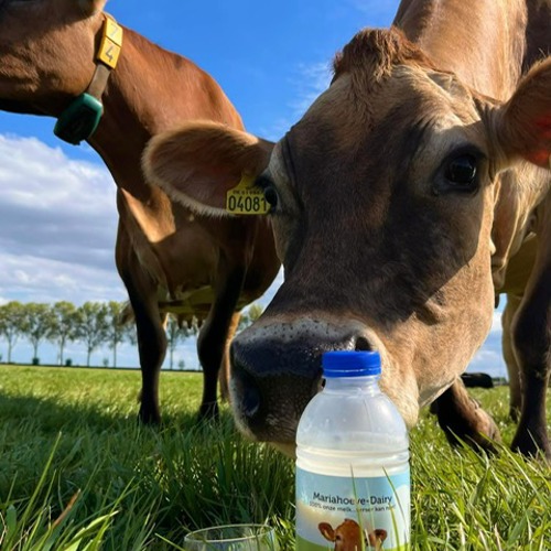 placeholder img alt text