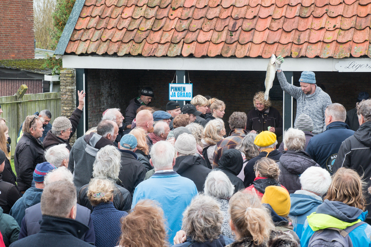 Wat Is Er Gebeurd Met De Augurken Stichting Kaag En Braassem Promotie