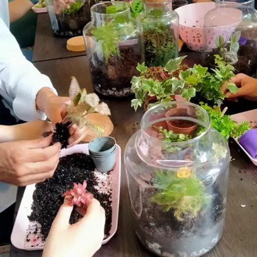 Maak je eigen planten ecosysteem in Woubrugge