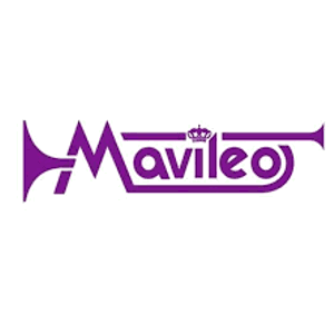 Reünie van Drumfanfare Mavileo