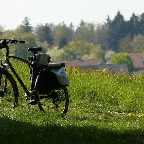 Fietsroute Braassemermeer Historisch Actief verkorte route