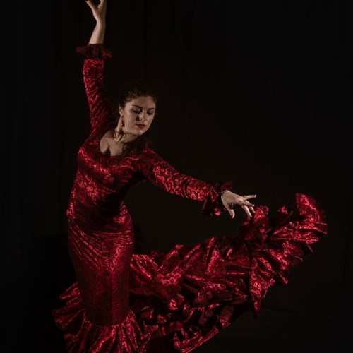 Flamencoshow Arte y Sabor