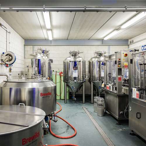 placeholder img alt text