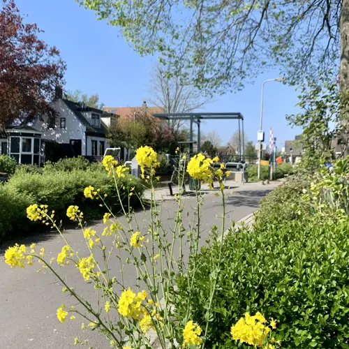 Wandel/fietstour Leimuiden – Bilderdam – Nieuwveen - Historisch Actief