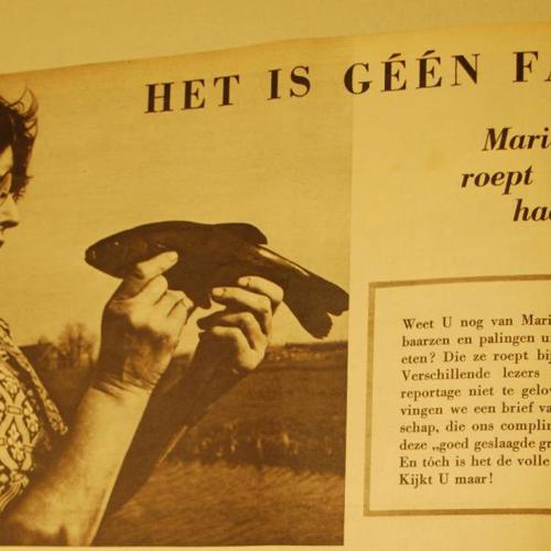 Vrouwtje Paling had de gave om met vissen te communiceren. Als zij aan de waterkant ging zitten en de vissen riep kwamen de braassems, baarzen, palingen, zeelten en karpers naar haar toe.