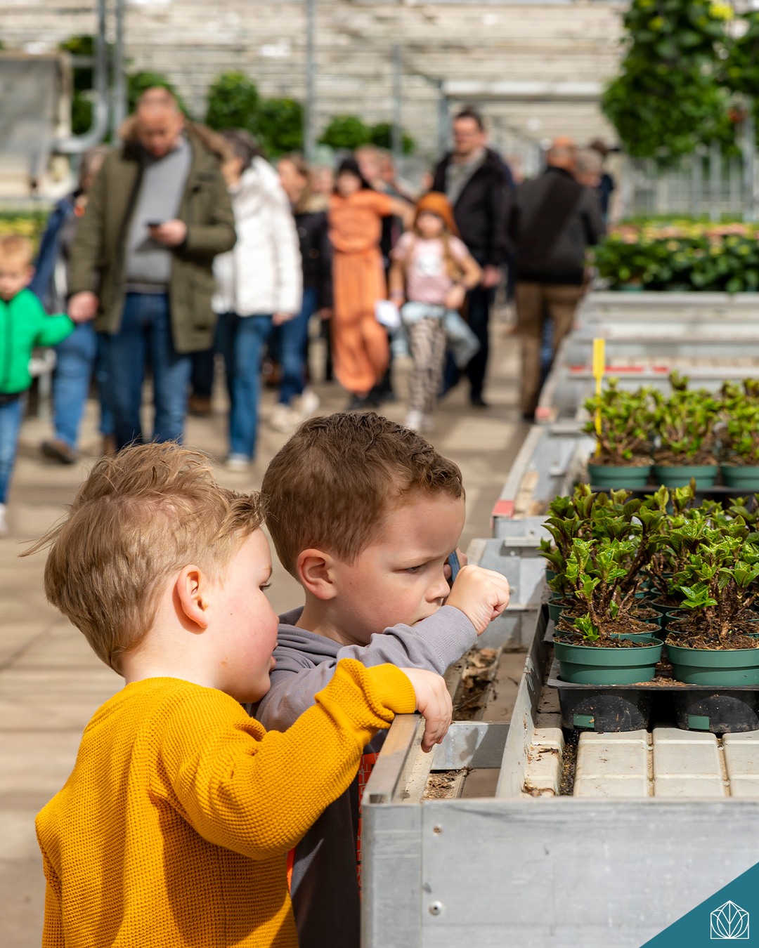 Kom in de Kas Roelofarendsveen
