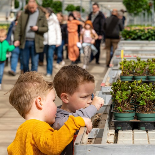 placeholder img alt text