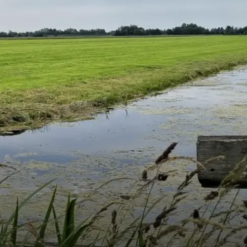 Zomer aan de Oevers: Historische polderfietstocht