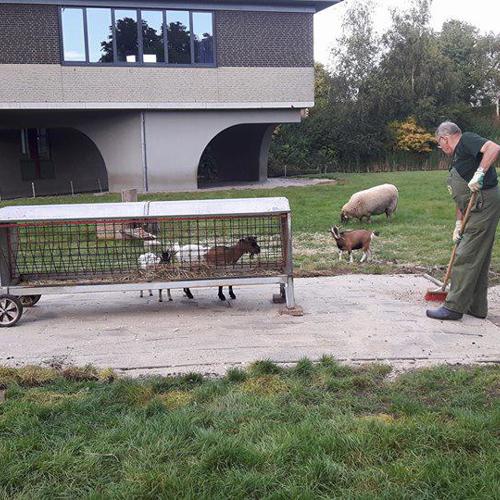 Dierenweide Rijnsaterwoude