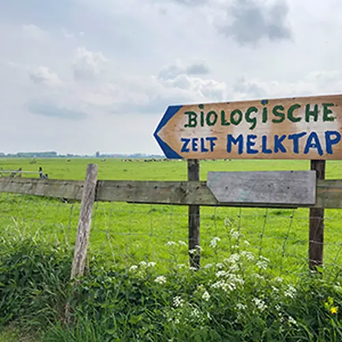 placeholder img alt text