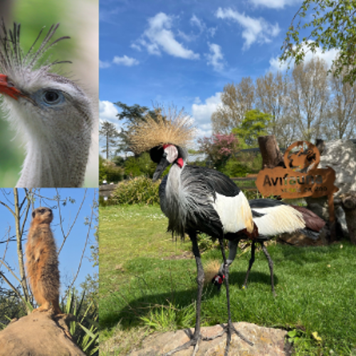 Vogelpark Avifauna