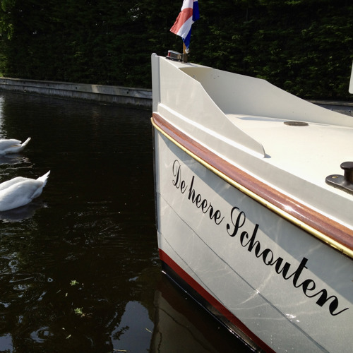 Lente voor de Zwanburgerroute