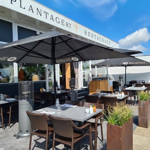 placeholder img alt text