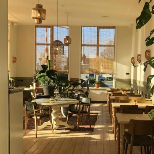 placeholder img alt text