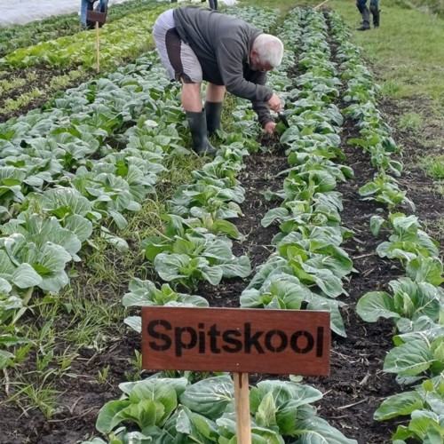 Rondleiding op de Herenboerderij