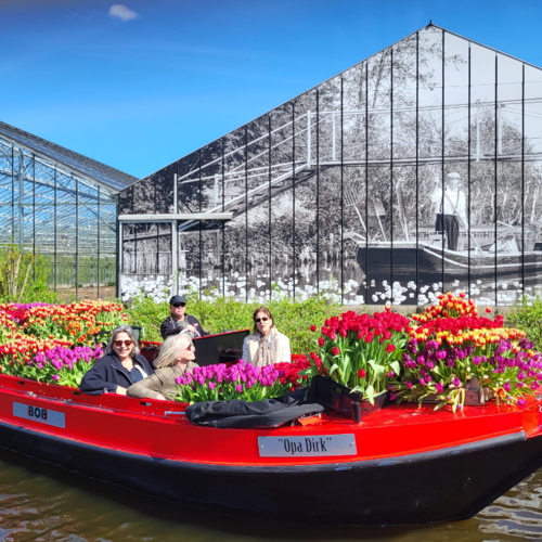 Varen met tulpen