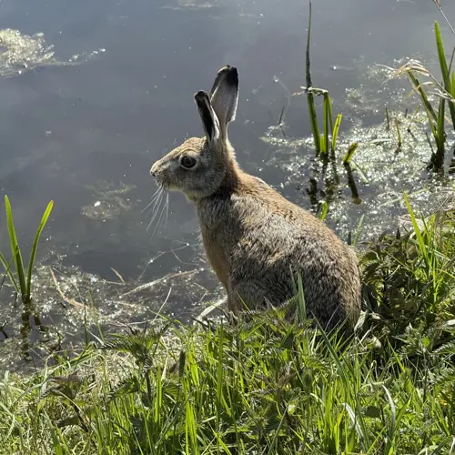 Inloop Natuur Ontdekkingscentrum Koudenhoorn
