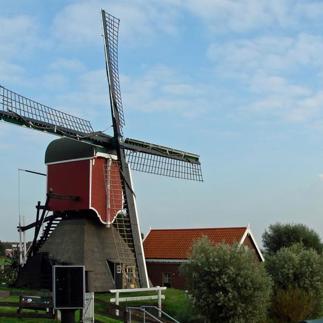 Wat is er te zien?