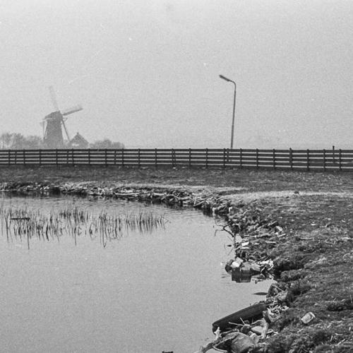 Veender- en Lijkerpolder: De veenpolder