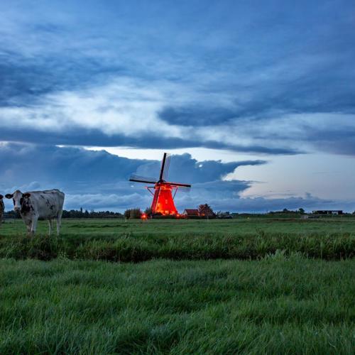 Beleef verlichte molens te voet, op de fiets of vanaf het water