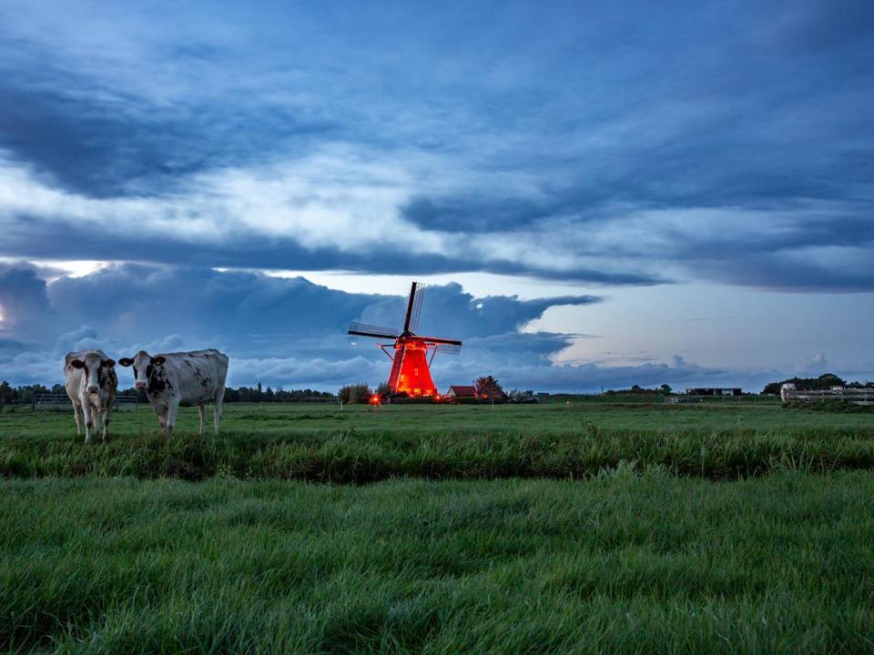Beleef verlichte molens te voet, op de fiets of vanaf het water