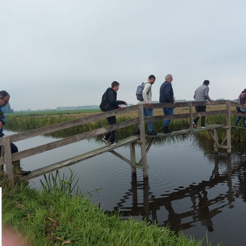 placeholder img alt text