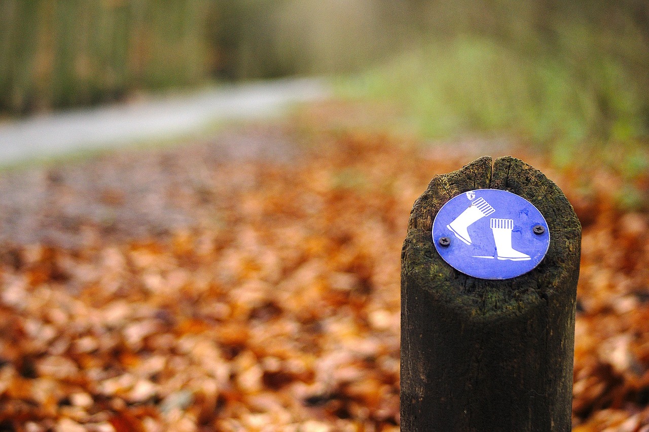 Winterwandeling over Land van Ons