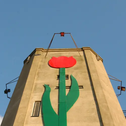 Veender- en Lijkerpolder: Wasserturmtulpe