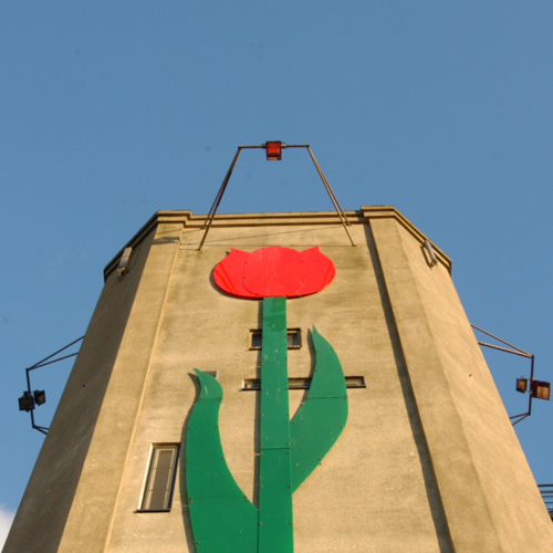 Veender- en Lijkerpolder: Wasserturmtulpe