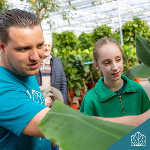 placeholder img alt text