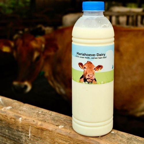 placeholder img alt text