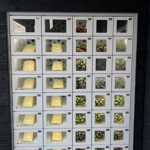 placeholder img alt text