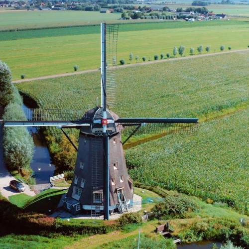 Groene Lusjes: Leimuiden