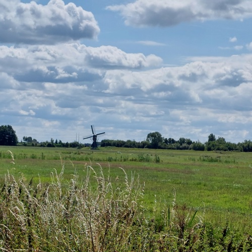 Groene Lusjes: Kaag