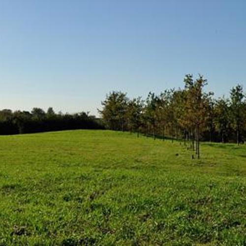 Groene Lusjes: Nieuwe Wetering