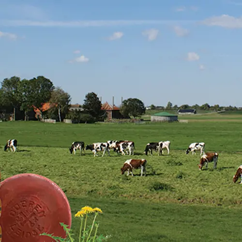 Bauern und Käse Fahrradweg