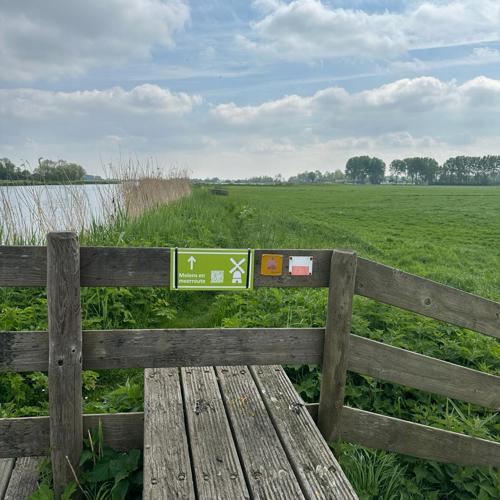 placeholder img alt text