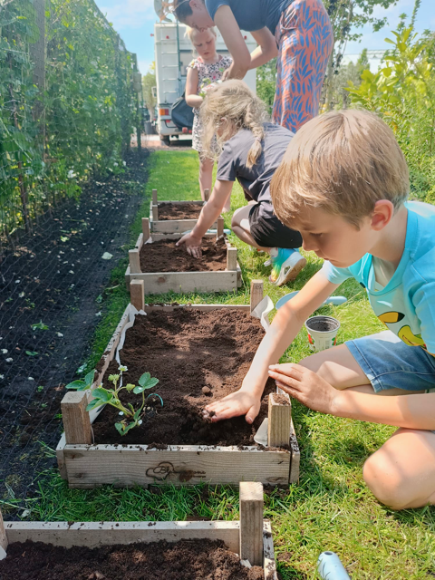 Workshop Moestuinieren voor Kids