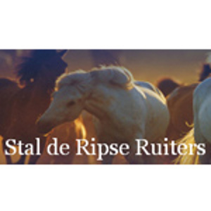 Stal de Ripse Ruiters